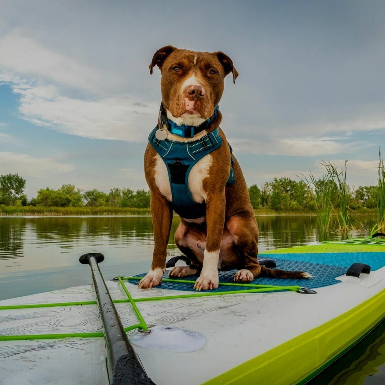 Inflatable SUP